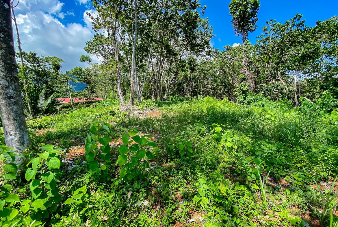 BUILDING PROPERTY WITH MOUNTAIN VIEWS, IN OJOCHAL – 5.75 ACRES