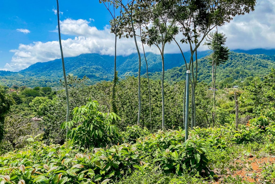 BUILDING PROPERTY WITH MOUNTAIN VIEWS, IN OJOCHAL – 5.75 ACRES