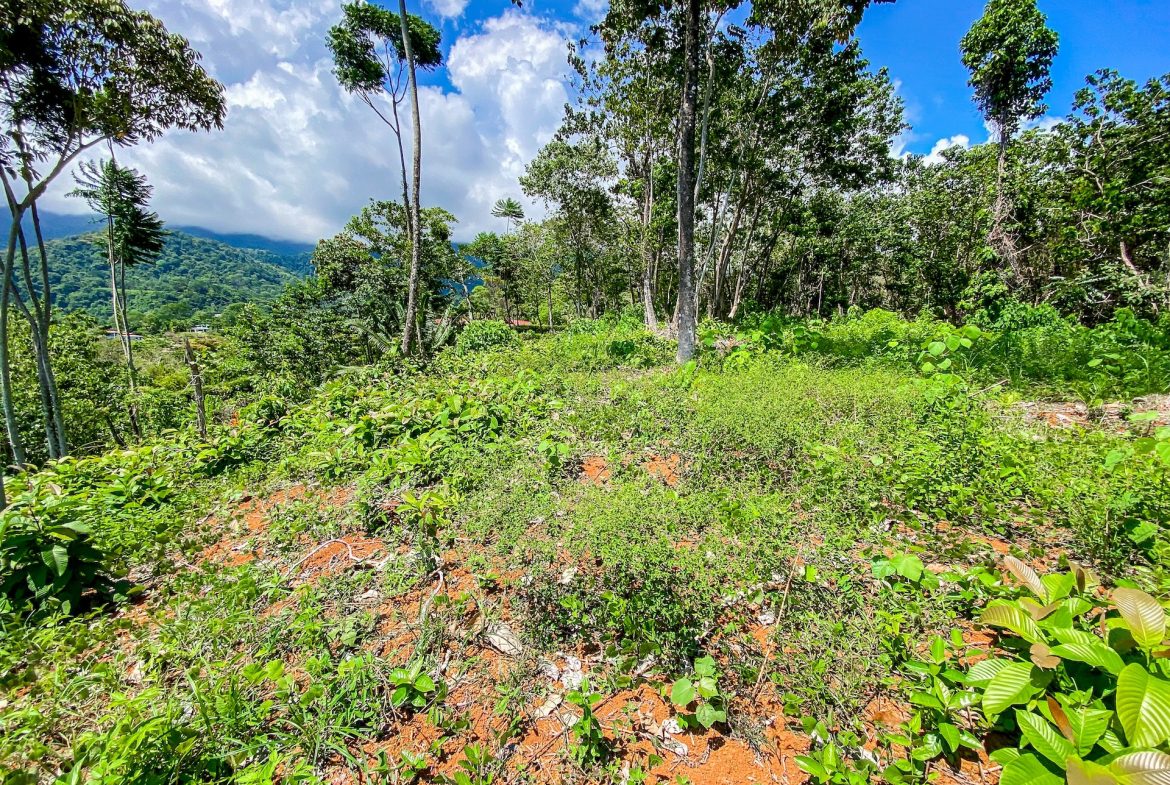BUILDING PROPERTY WITH MOUNTAIN VIEWS, IN OJOCHAL – 5.75 ACRES