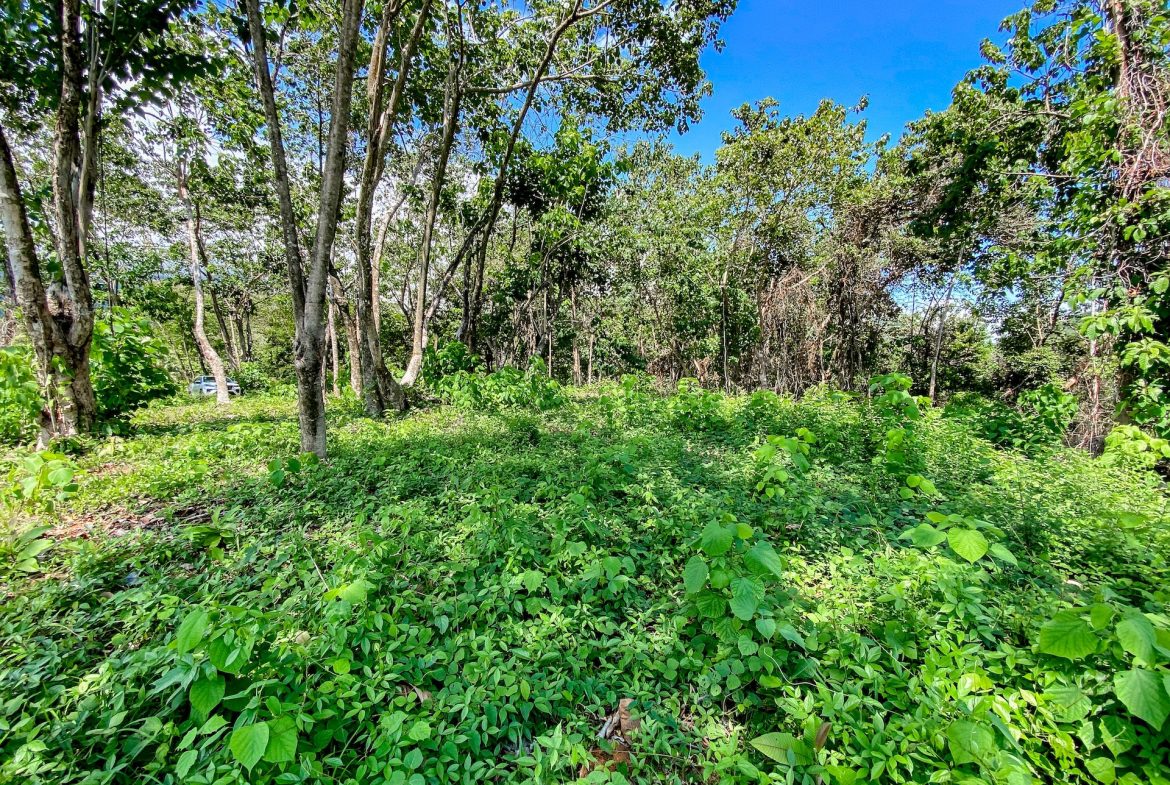 BUILDING PROPERTY WITH MOUNTAIN VIEWS, IN OJOCHAL – 5.75 ACRES
