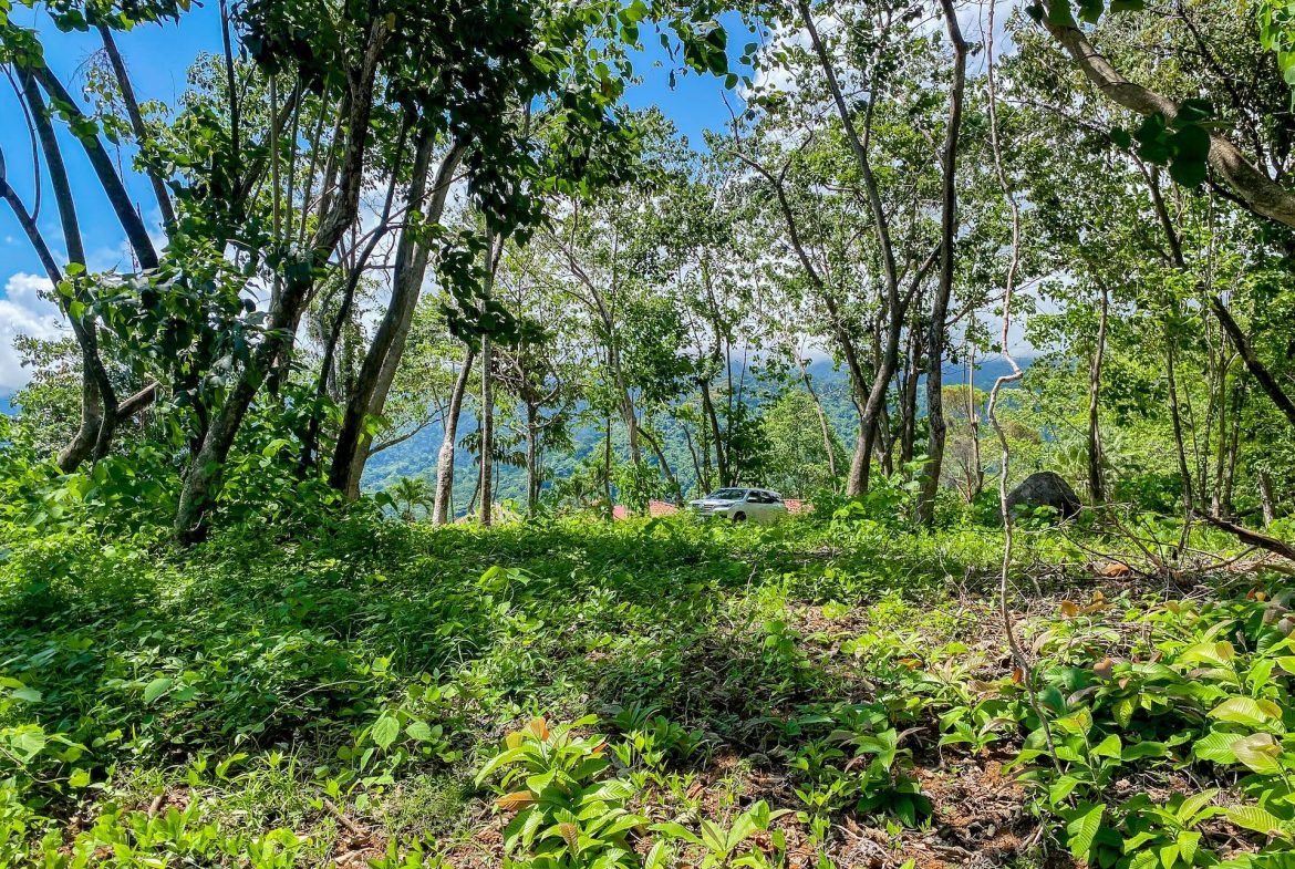 BUILDING PROPERTY WITH MOUNTAIN VIEWS, IN OJOCHAL – 5.75 ACRES