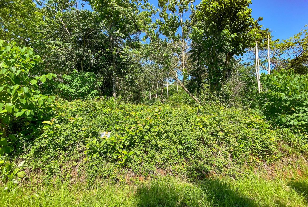 BUILDING PROPERTY WITH MOUNTAIN VIEWS, IN OJOCHAL – 5.75 ACRES