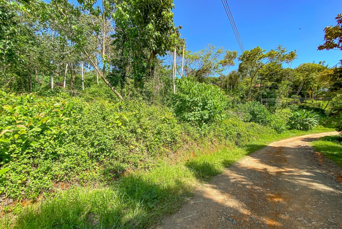 BUILDING PROPERTY WITH MOUNTAIN VIEWS, IN OJOCHAL – 5.75 ACRES