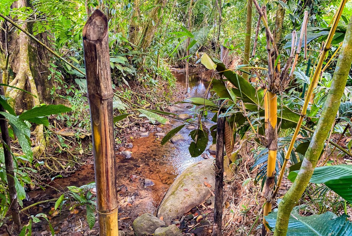 PROPERTY WITH FOUR BEDROOMS NEAR TO THE EVERYTHING, IN UVITA – 0.13 ACRES