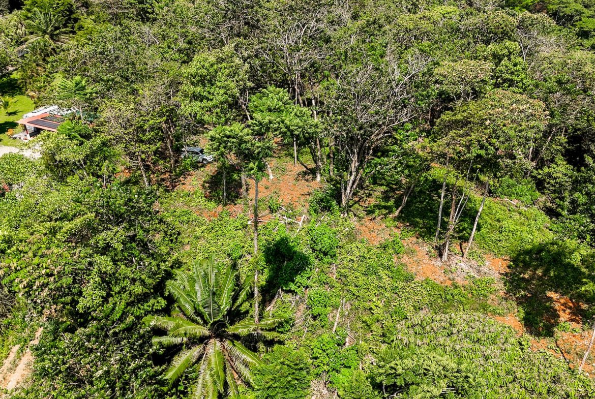 BUILDING PROPERTY WITH MOUNTAIN VIEWS, IN OJOCHAL – 5.75 ACRES