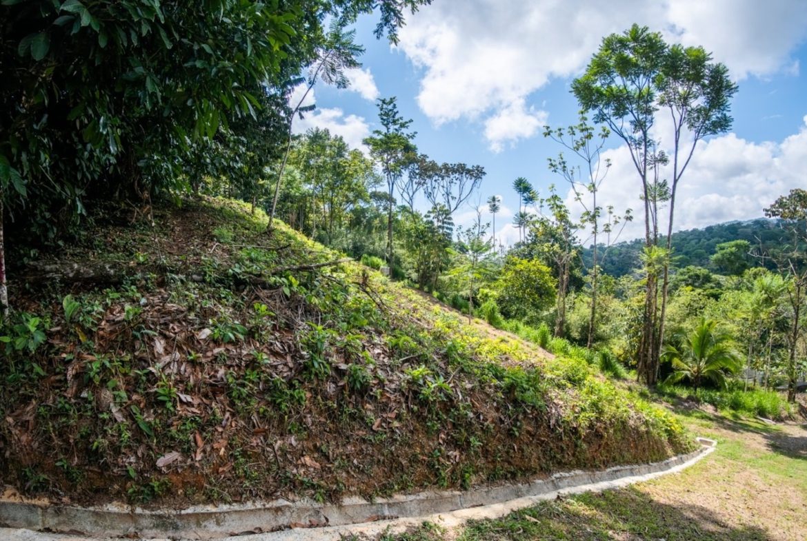 BUILDING PROPERTY WITH PARTIAL OCEAN VIEWS, IN LAS BRISAS LA COLONIA – 4.94 ACRES