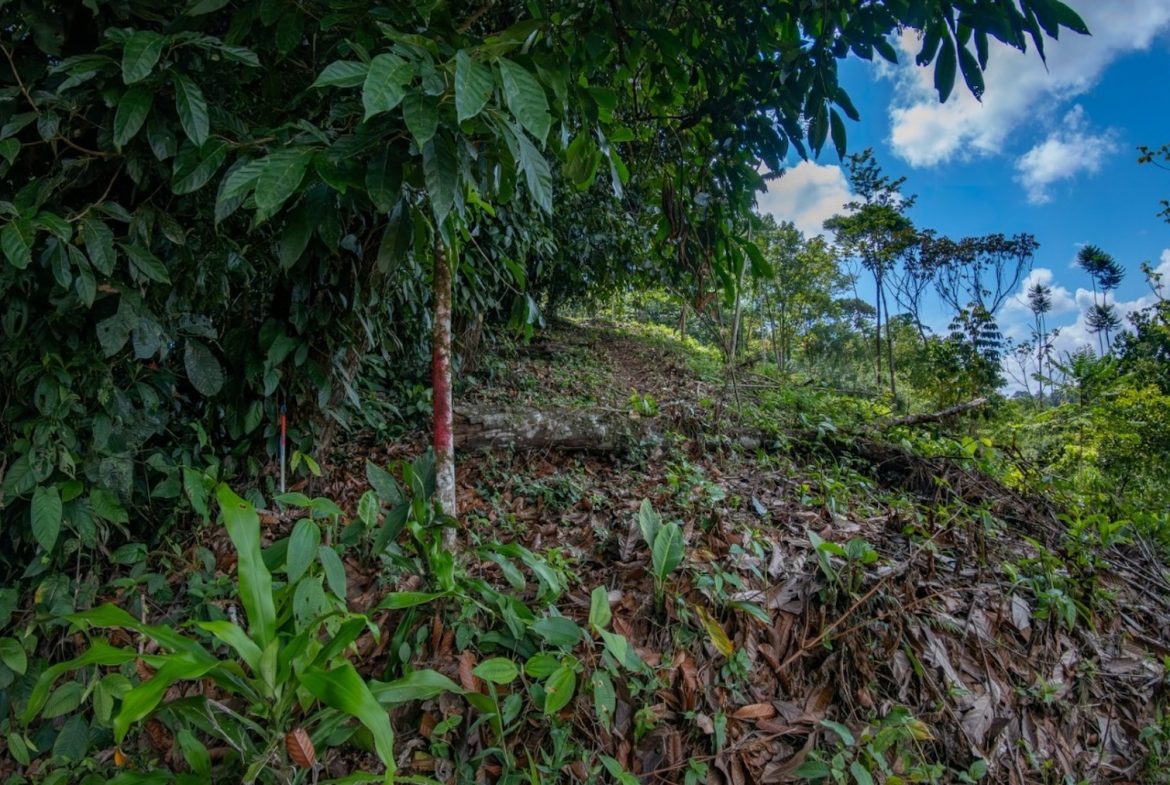 BUILDING PROPERTY WITH PARTIAL OCEAN VIEWS, IN LAS BRISAS LA COLONIA – 4.94 ACRES