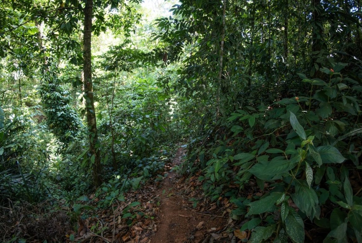 BUILDING PROPERTY WITH PARTIAL OCEAN VIEWS, IN LAS BRISAS LA COLONIA – 4.94 ACRES