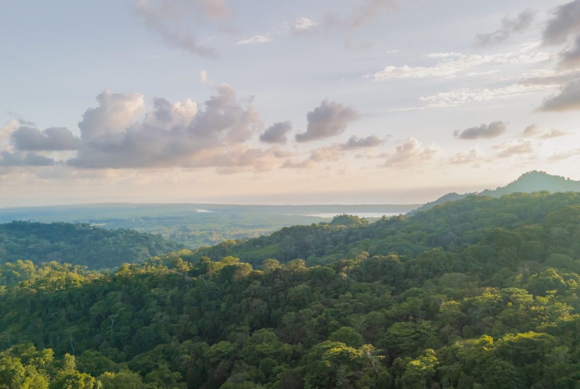 BUILDING PROPERTY WITH BEAUTIFUL VIEWS OF THE OCEAN AND SUNSET, IN TRES RIOS – 1.96 ACRES