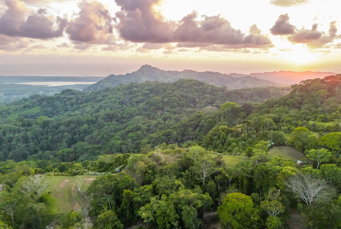 BUILDING PROPERTY WITH BEAUTIFUL VIEWS OF THE OCEAN AND SUNSET, IN TRES RIOS – 1.96 ACRES