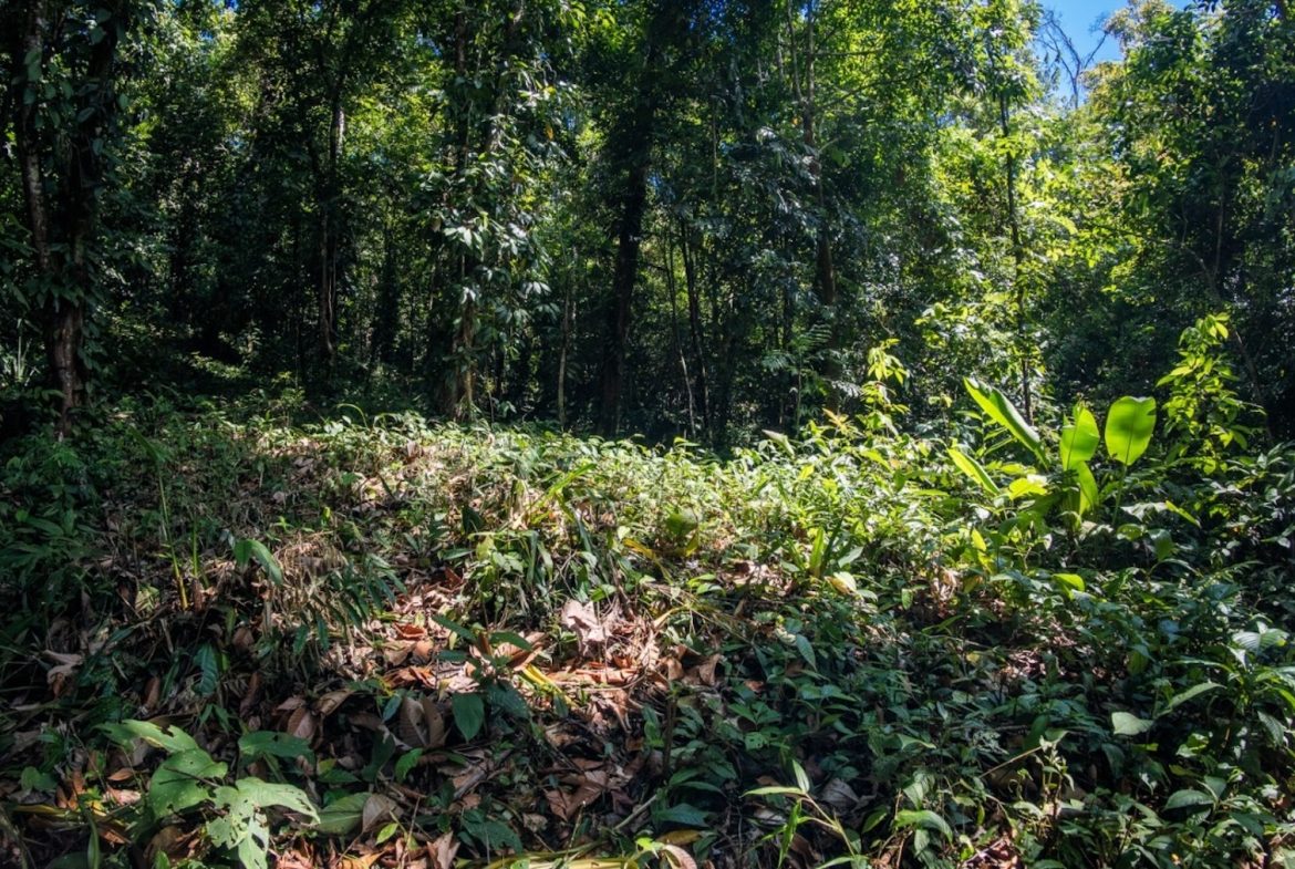 BUILDING PROPERTY WITH PARTIAL OCEAN VIEWS, IN LAS BRISAS LA COLONIA – 4.94 ACRES