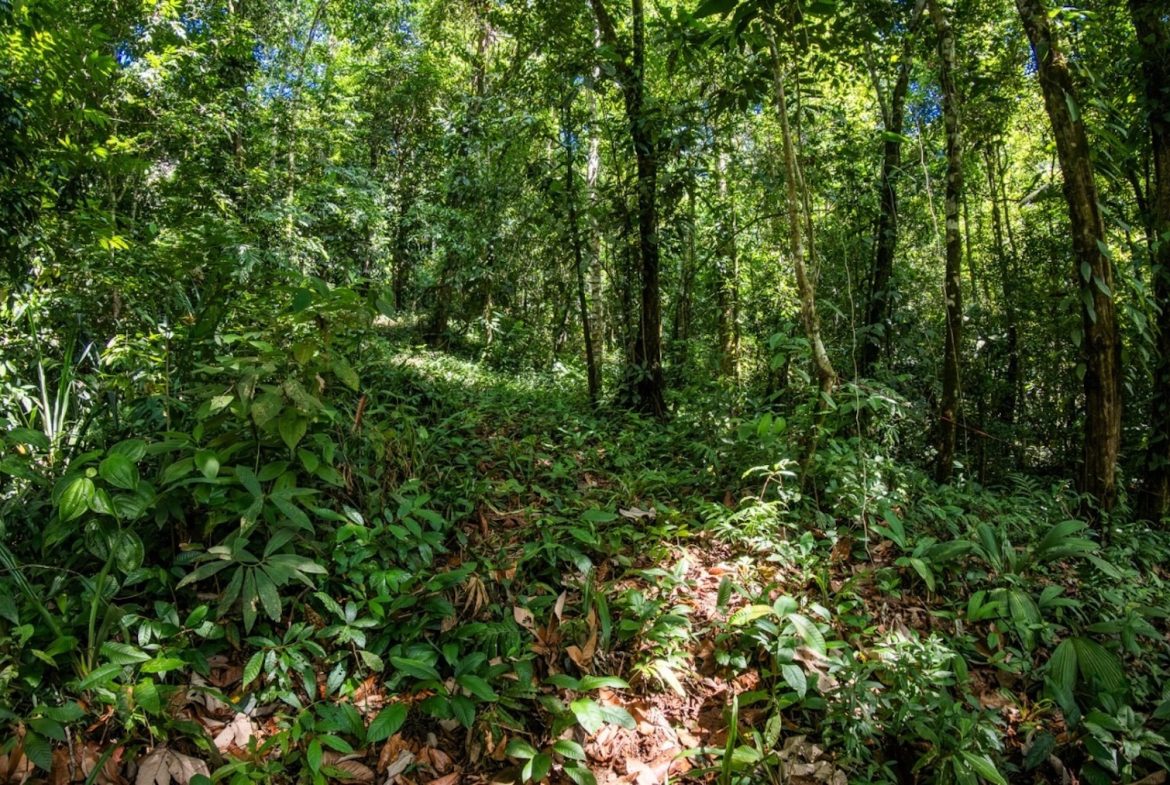 BUILDING PROPERTY WITH PARTIAL OCEAN VIEWS, IN LAS BRISAS LA COLONIA – 4.94 ACRES