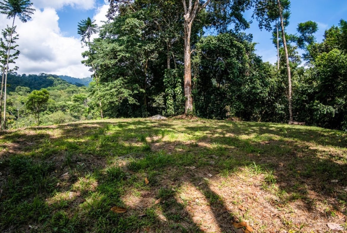 BUILDING PROPERTY WITH PARTIAL OCEAN VIEWS, IN LAS BRISAS LA COLONIA – 4.94 ACRES