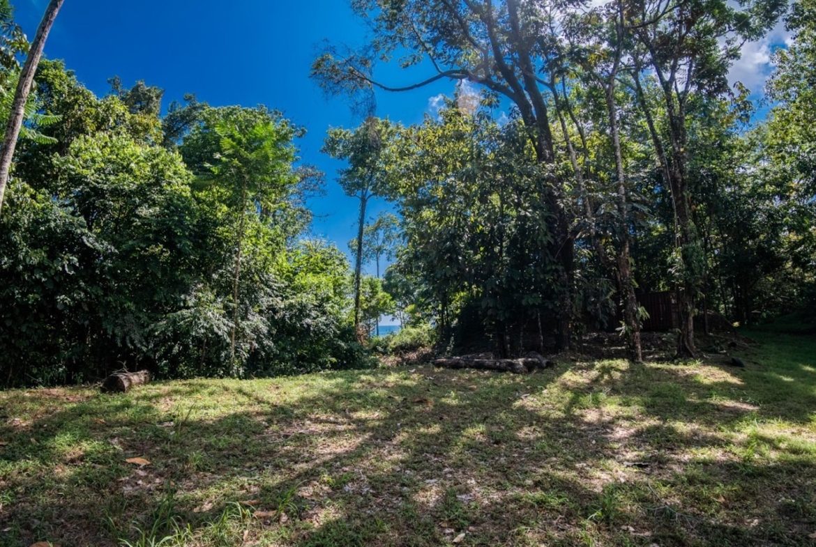 BUILDING PROPERTY WITH PARTIAL OCEAN VIEWS, IN LAS BRISAS LA COLONIA – 4.94 ACRES