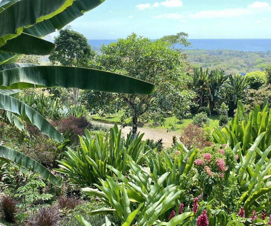 PROPERTY WITH OCEAN VIEWS NEAR TO EVERYTHING, IN JARDINES DEL MORETE UVITA – 0.34 ACRES