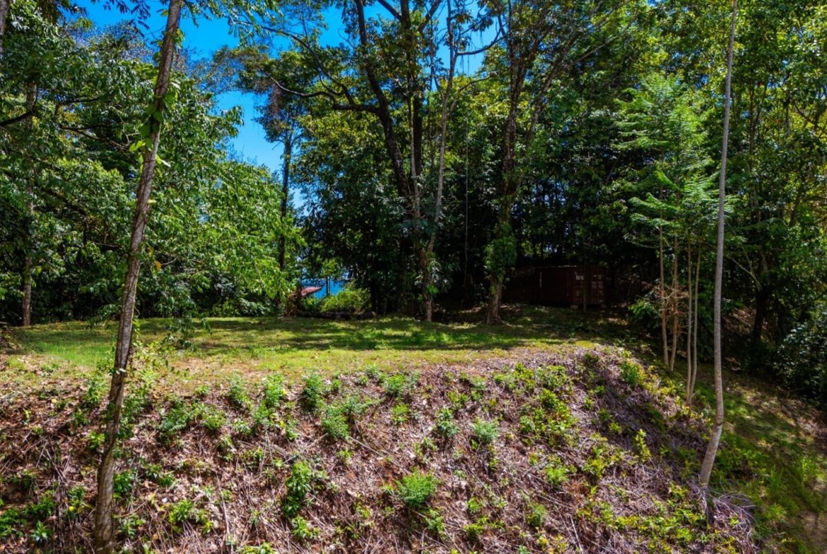 BUILDING PROPERTY WITH PARTIAL OCEAN VIEWS, IN LAS BRISAS LA COLONIA – 4.94 ACRES