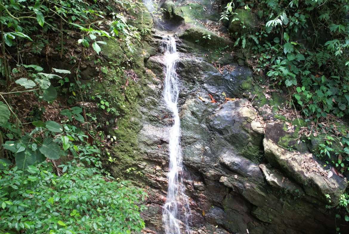 JUNGLE PROPERTY WITH THREE BEDROOMS IN A GATED COMMUNITY, IN OJOCHAL – 1.17 ACRES