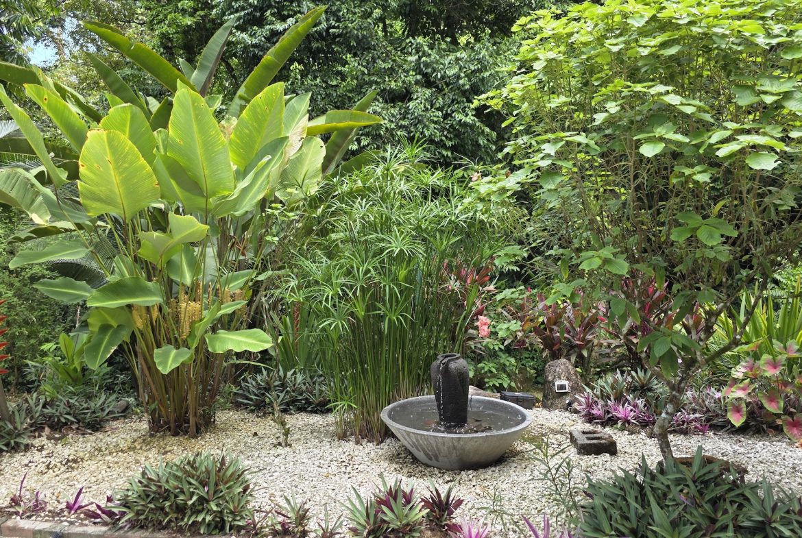 JUNGLE PROPERTY WITH THREE BEDROOMS IN A GATED COMMUNITY, IN OJOCHAL – 1.17 ACRES