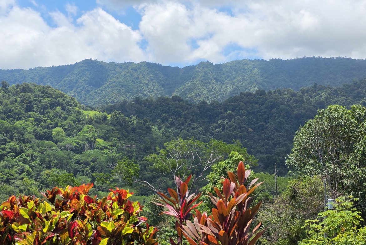 PROPERTY WITH FOUR BEDROOMS WITH OCEAN VIEWS, IN OJOCHAL – 0.54 ACRES