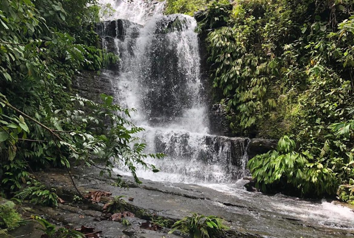 BUILDING PROPERTY WITH MOUNTAIN VIEWS AND NEAR TO THE WATERFALL, IN SILENCIO SAVEGRE – 42.4 ACRES