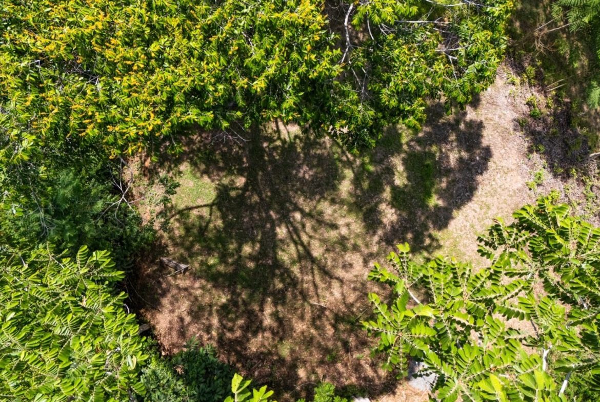 BUILDING PROPERTY WITH PARTIAL OCEAN VIEWS, IN LAS BRISAS LA COLONIA – 4.94 ACRES