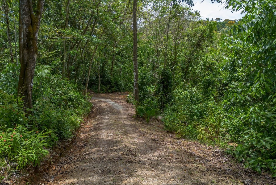 CASA OROPENDULA PROPERTY WITH THREE BEDROOMS, IN BARU – 3.44 ACRES