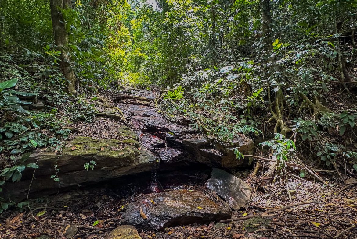BUILDING PROPERTY WITH PANORAMIC OCEAN AND VALLEY VIEWS, IN SANTA JUANA PLATANILLO – 136 ACRES