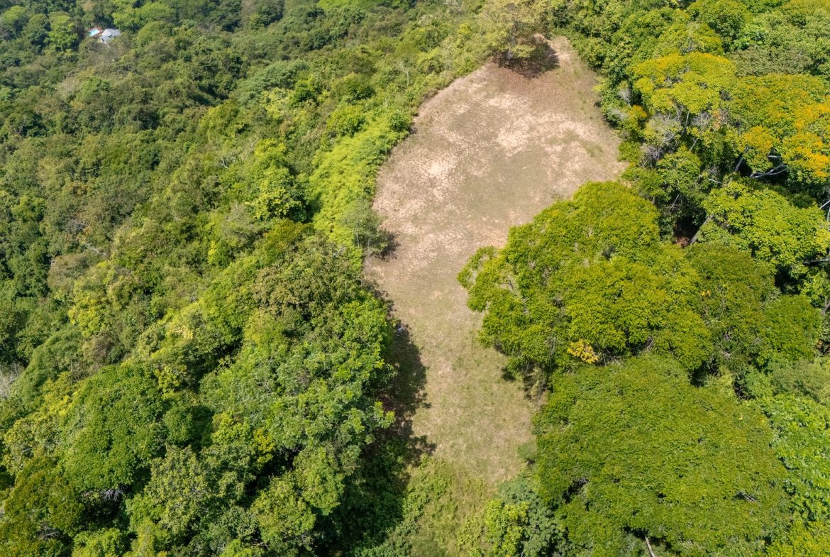 BUILDING PROPERTY WITH PANORAMIC OCEAN AND VALLEY VIEWS, IN SANTA JUANA PLATANILLO – 136 ACRES