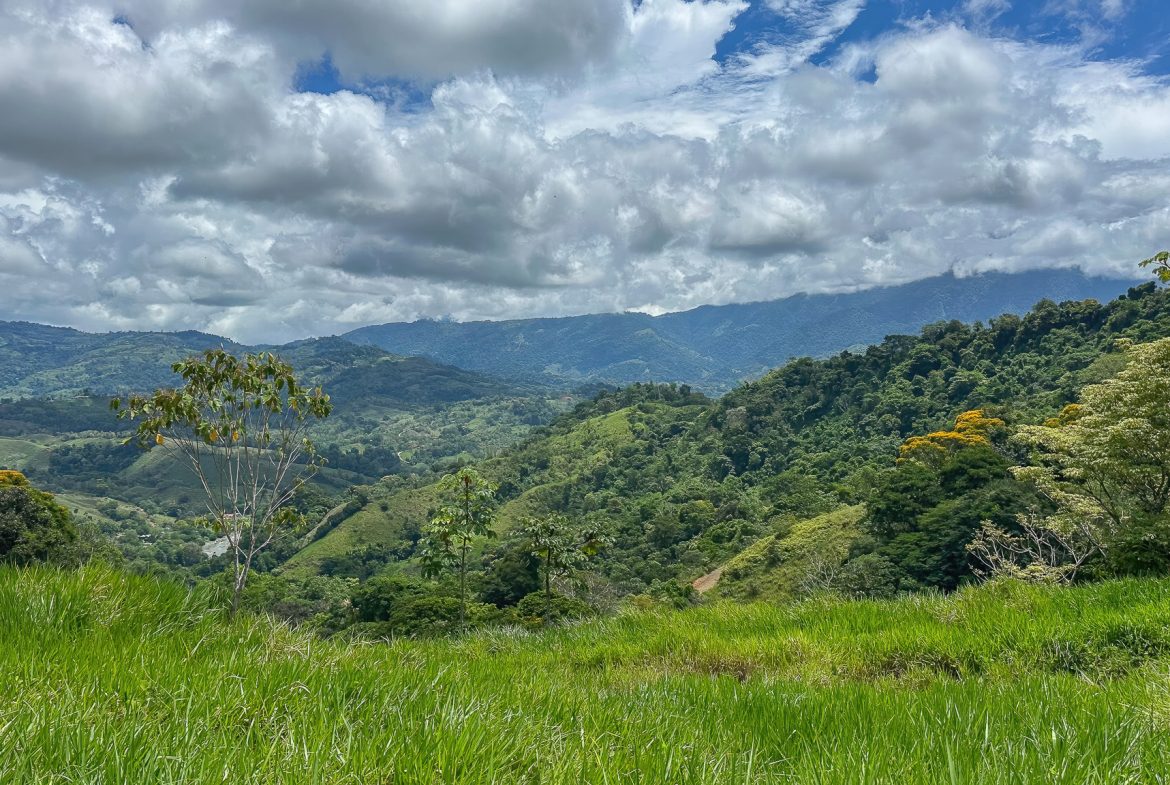 DEVELOPMENT PROPERTY WITH ONE BEDROOM HOUSE, IN THE HIGHEST OF PLATANILLO – 148 ACRES