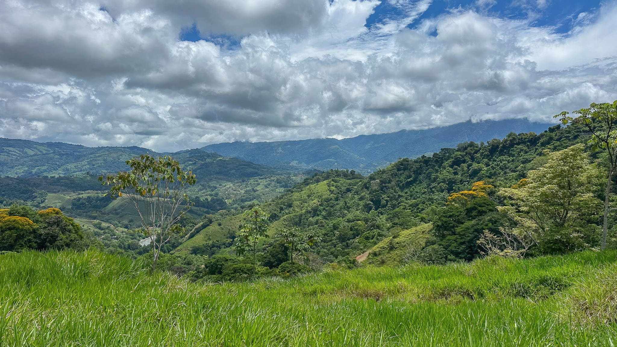 BZ-S&AU _ PLATANILLO -1