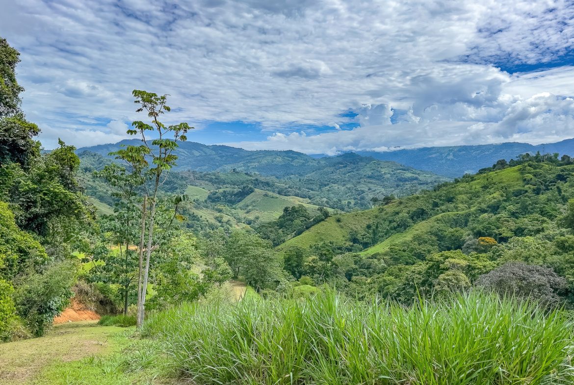 DEVELOPMENT PROPERTY WITH ONE BEDROOM HOUSE, IN THE HIGHEST OF PLATANILLO – 148 ACRES