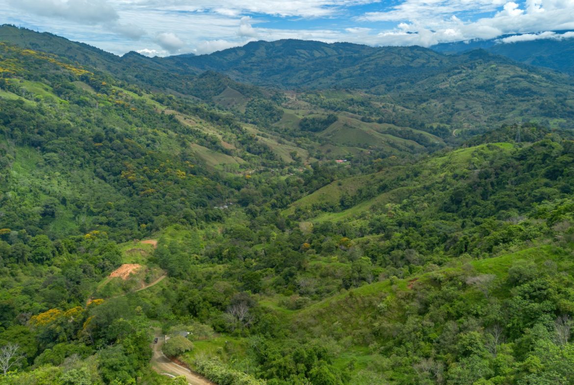 DEVELOPMENT PROPERTY WITH ONE BEDROOM HOUSE, IN THE HIGHEST OF PLATANILLO – 148 ACRES