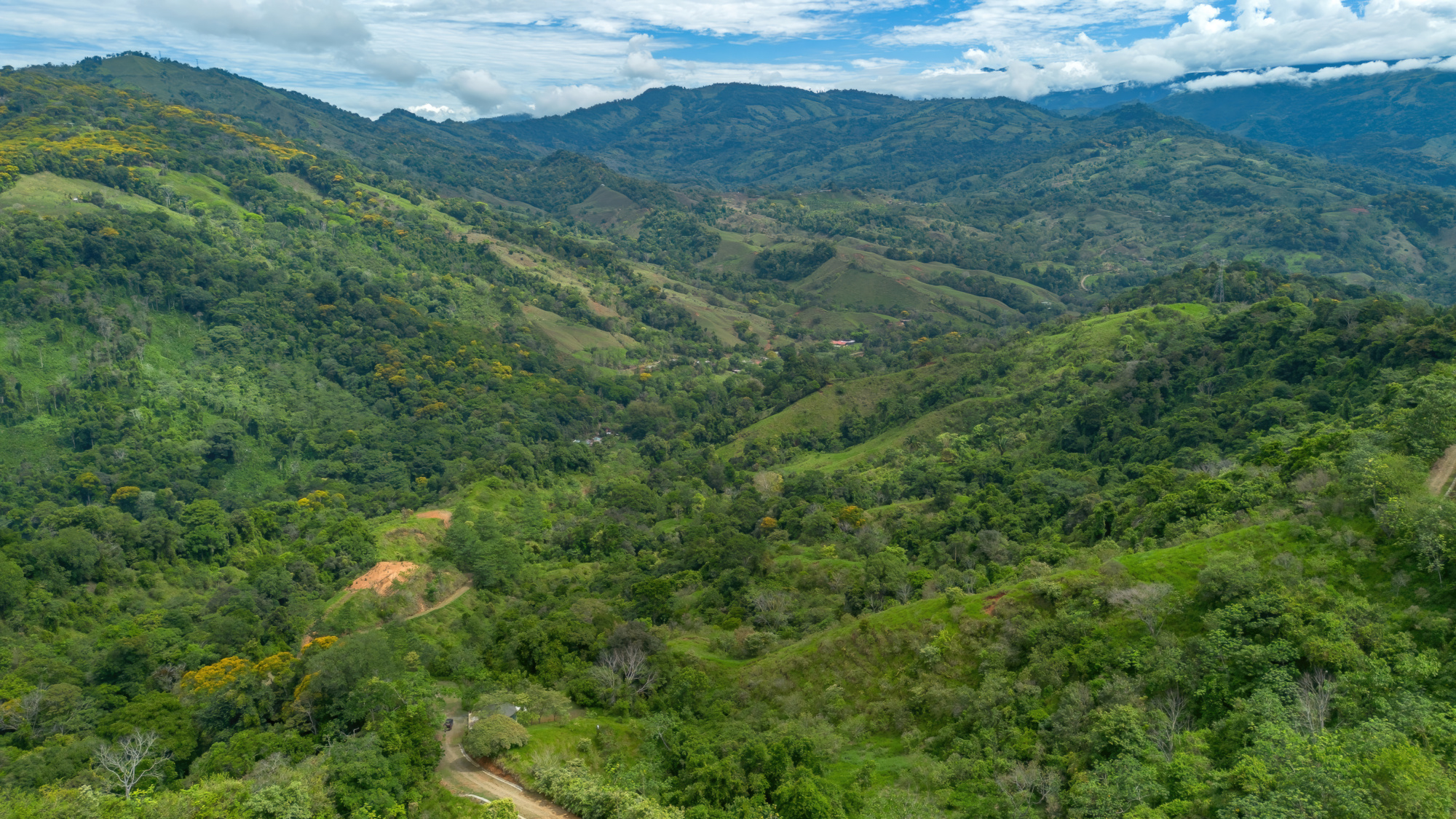 BZ-S&AU _ PLATANILLO -12 (1)