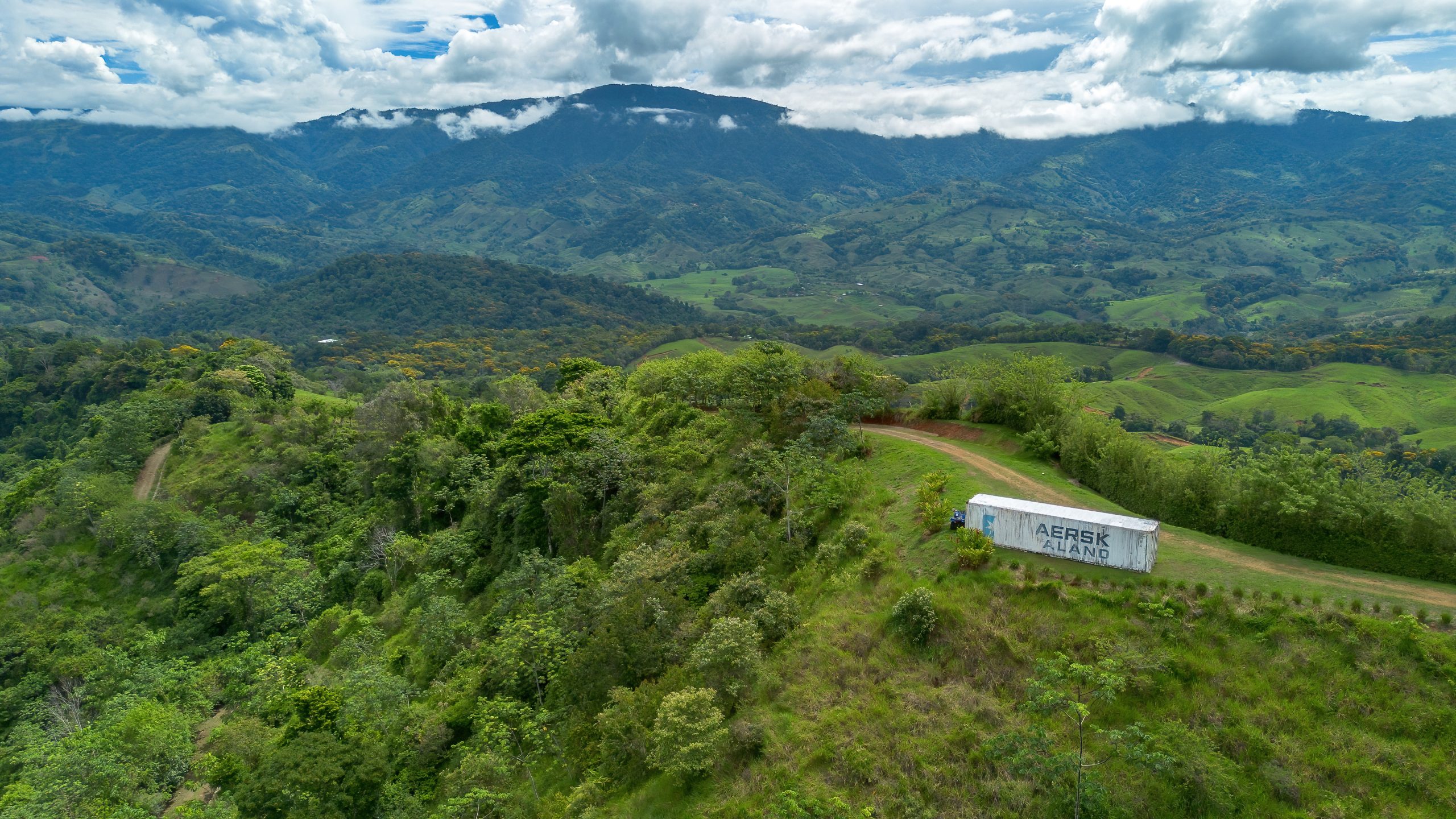 BZ-S&AU _ PLATANILLO -13 (1)
