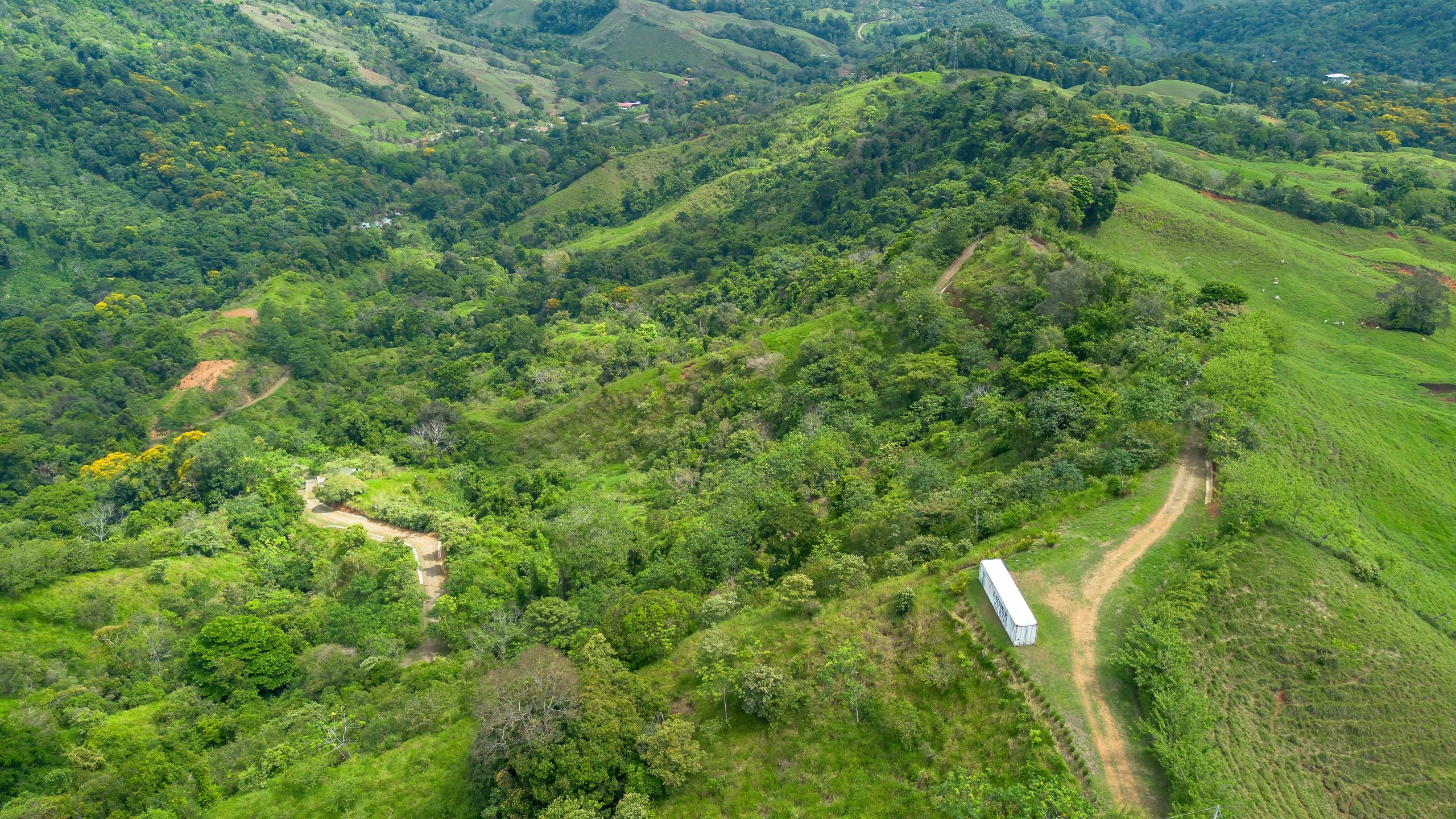 BZ-S&AU _ PLATANILLO -14 (1)