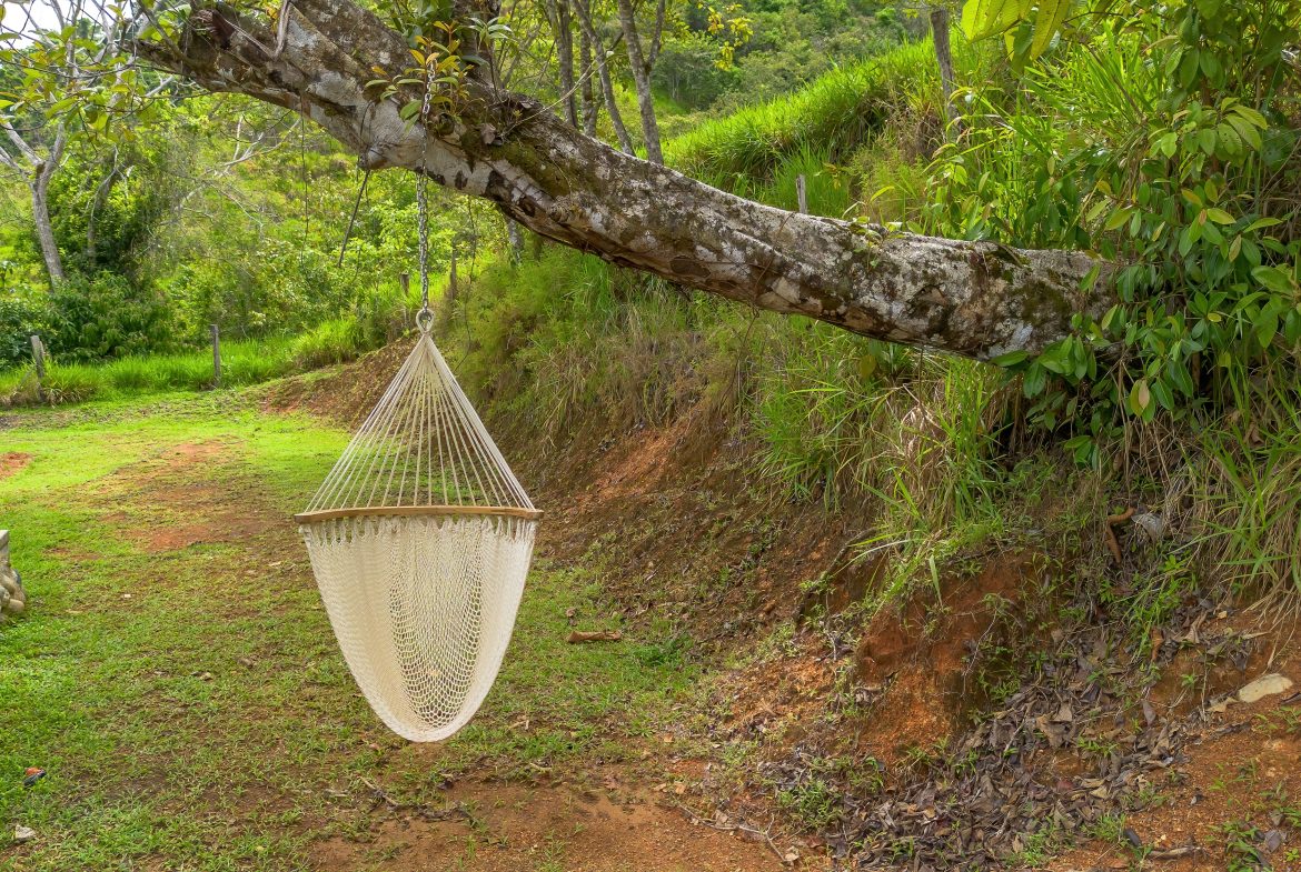 DEVELOPMENT PROPERTY WITH ONE BEDROOM HOUSE, IN THE HIGHEST OF PLATANILLO – 148 ACRES