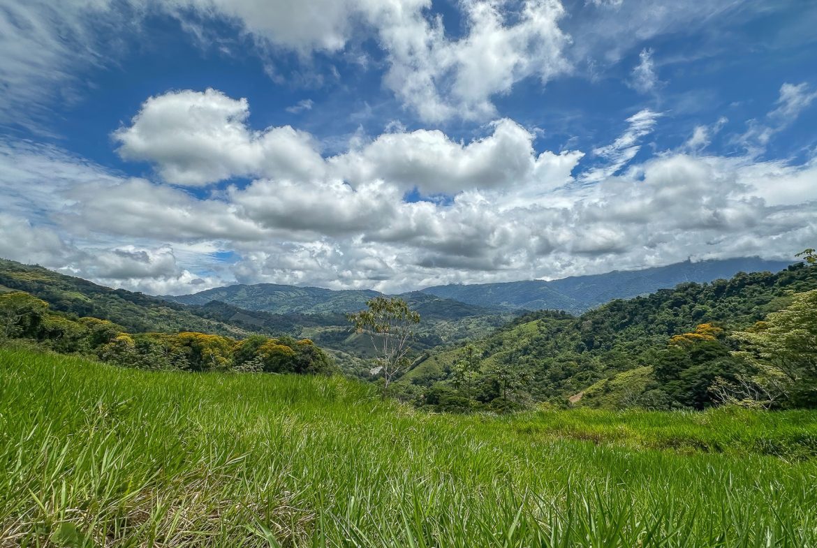 DEVELOPMENT PROPERTY WITH ONE BEDROOM HOUSE, IN THE HIGHEST OF PLATANILLO – 148 ACRES