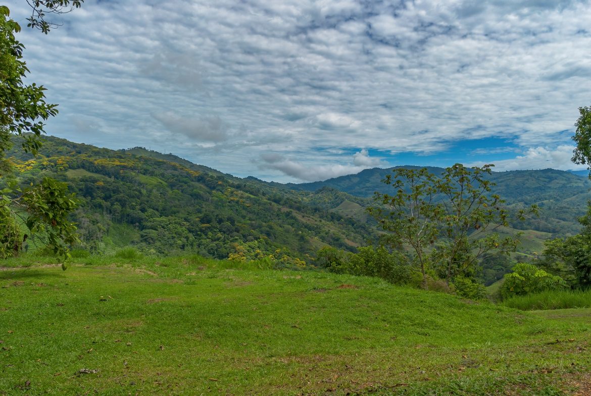 DEVELOPMENT PROPERTY WITH ONE BEDROOM HOUSE, IN THE HIGHEST OF PLATANILLO – 148 ACRES