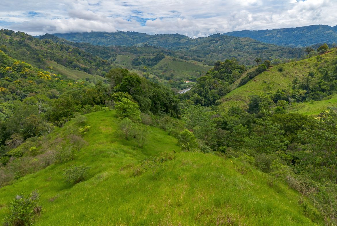 DEVELOPMENT PROPERTY WITH ONE BEDROOM HOUSE, IN THE HIGHEST OF PLATANILLO – 148 ACRES