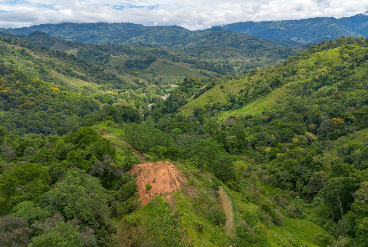 DEVELOPMENT PROPERTY WITH ONE BEDROOM HOUSE, IN THE HIGHEST OF PLATANILLO – 148 ACRES