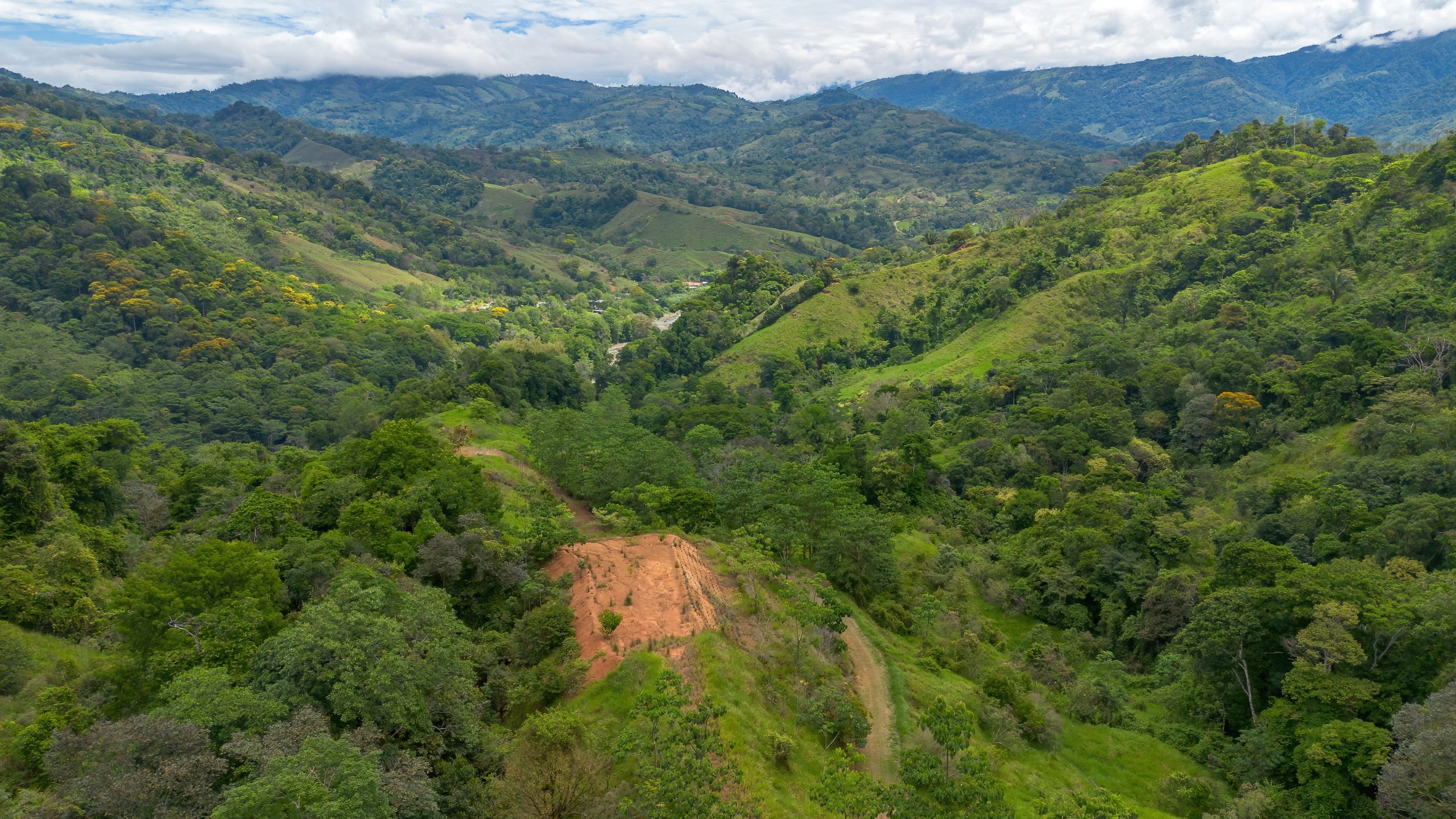 BZ-S&AU _ PLATANILLO -27 (1)