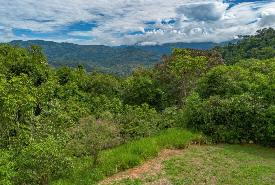 DEVELOPMENT PROPERTY WITH ONE BEDROOM HOUSE, IN THE HIGHEST OF PLATANILLO – 148 ACRES