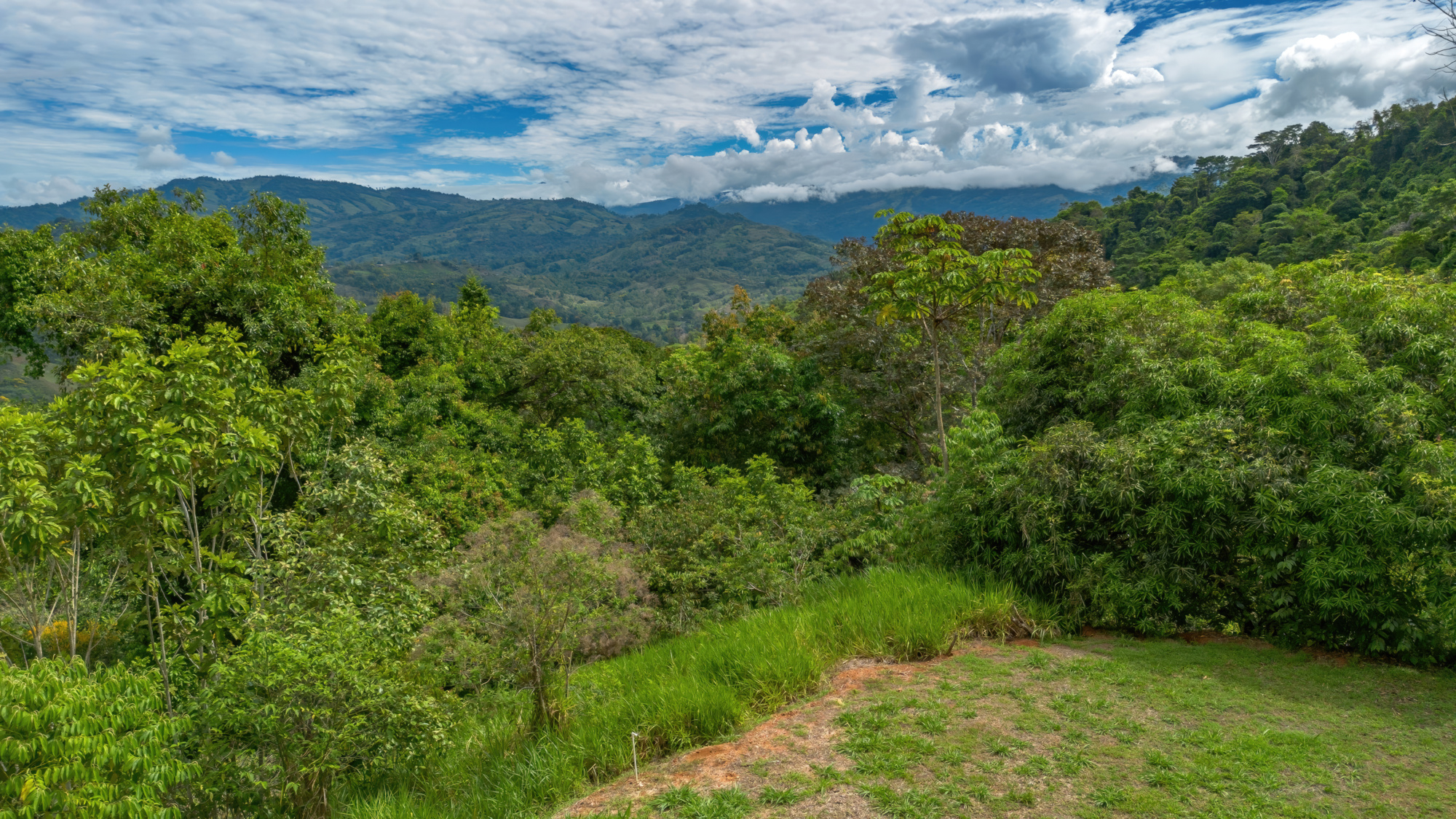 BZ-S&AU _ PLATANILLO -3 (1)