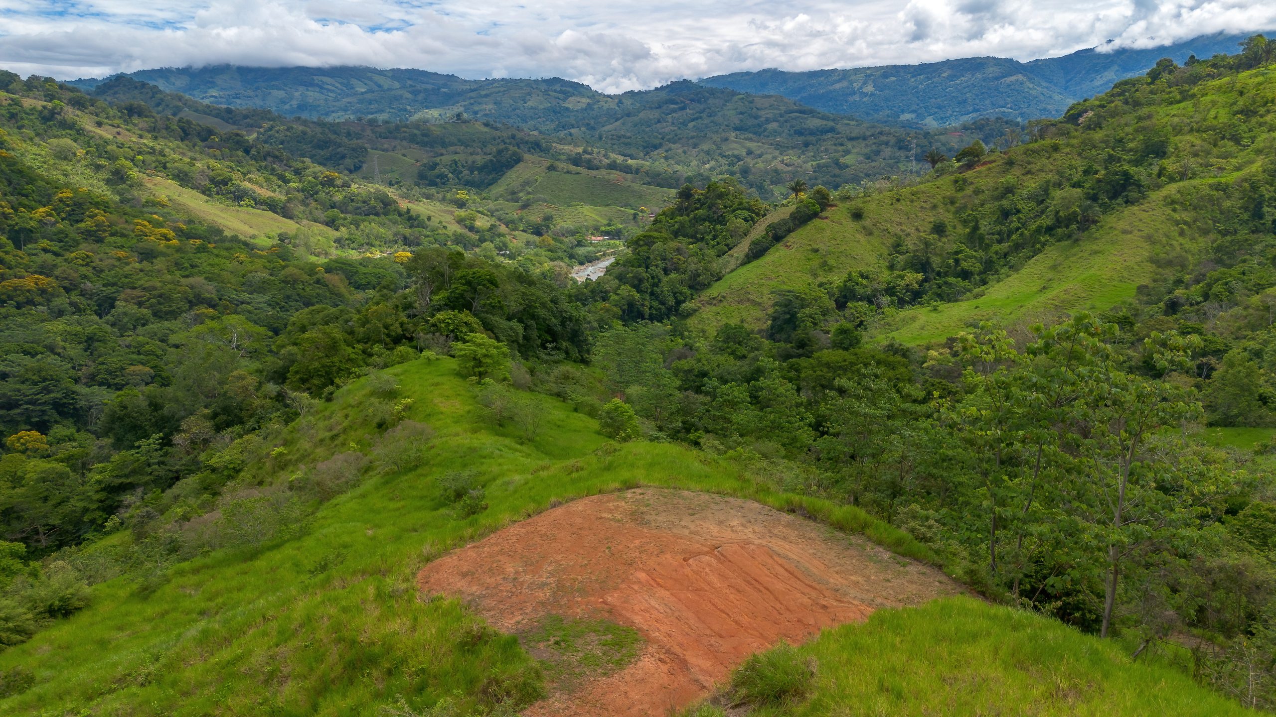 BZ-S&AU _ PLATANILLO -31 (1)
