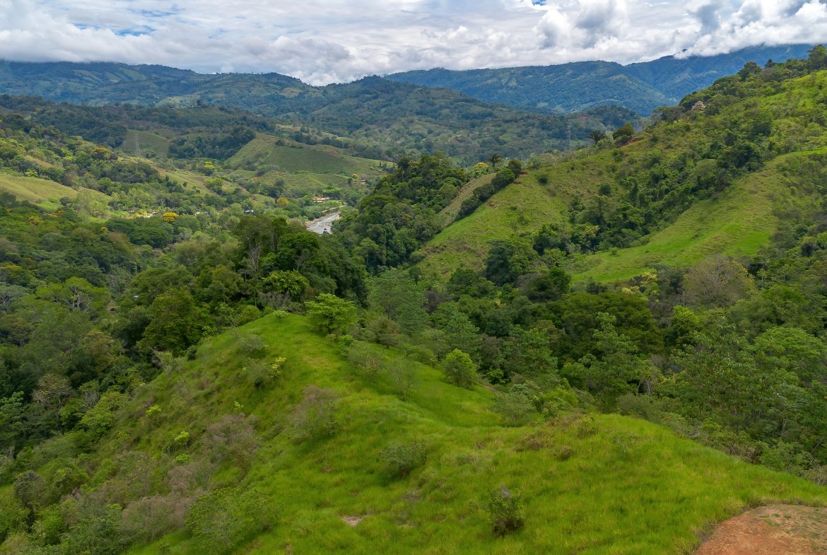 DEVELOPMENT PROPERTY WITH ONE BEDROOM HOUSE, IN THE HIGHEST OF PLATANILLO – 148 ACRES