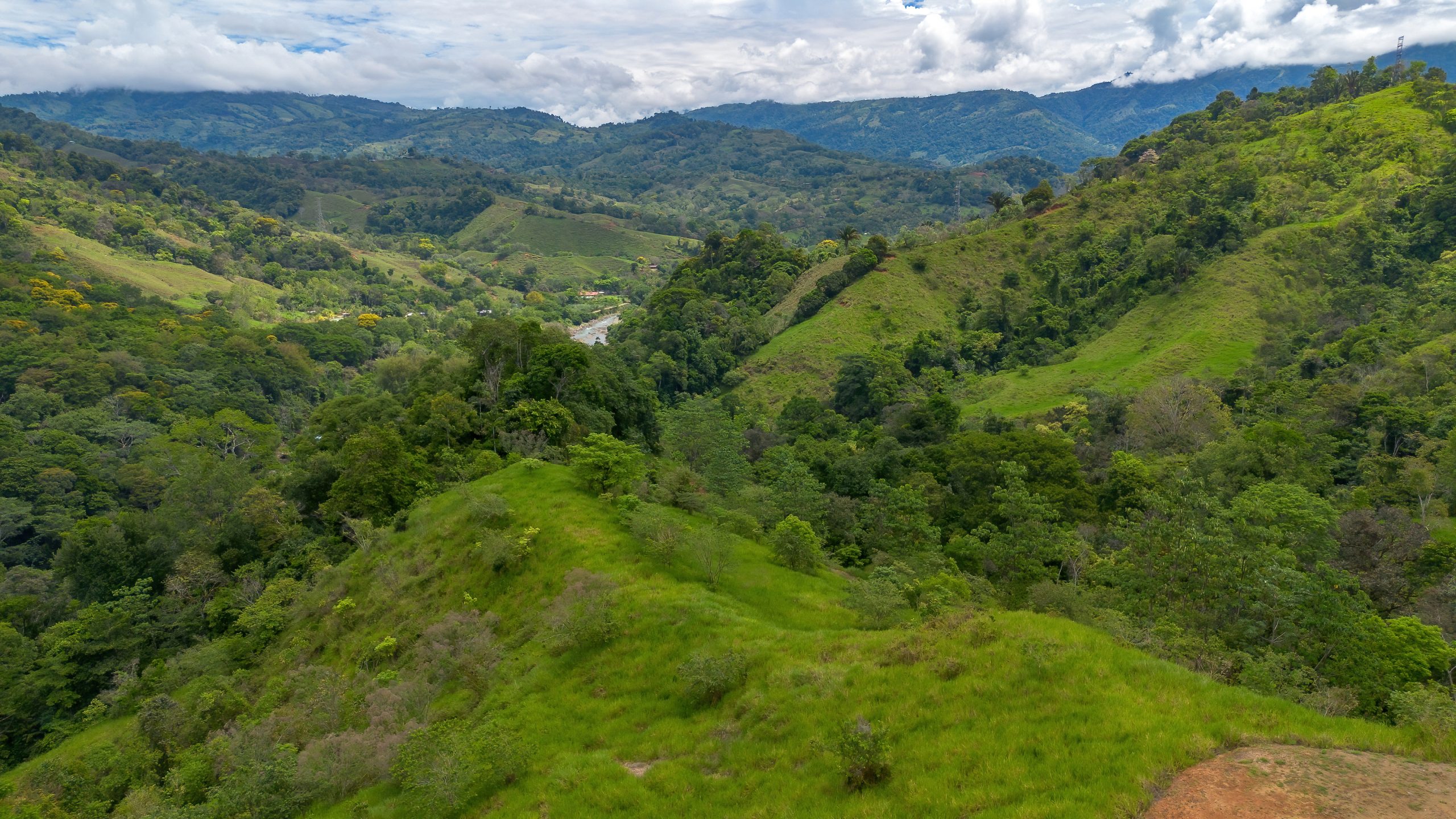 BZ-S&AU _ PLATANILLO -32 (1)