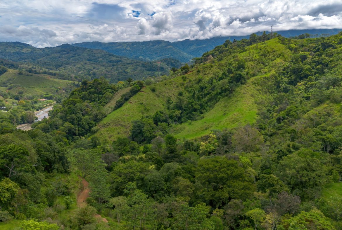 DEVELOPMENT PROPERTY WITH ONE BEDROOM HOUSE, IN THE HIGHEST OF PLATANILLO – 148 ACRES
