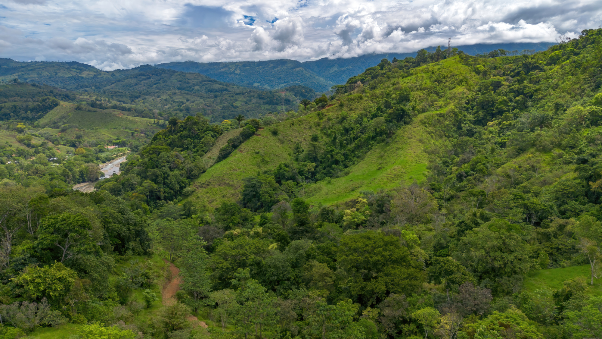 BZ-S&AU _ PLATANILLO -33 (1)