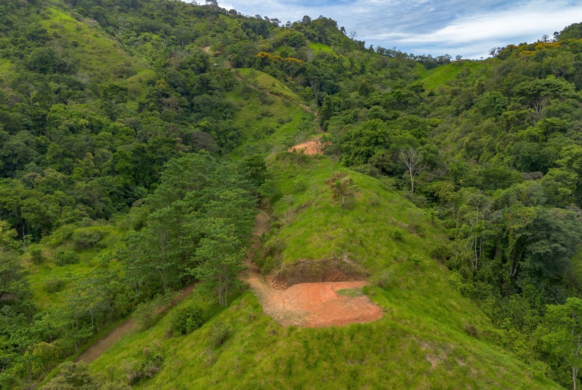 DEVELOPMENT PROPERTY WITH ONE BEDROOM HOUSE, IN THE HIGHEST OF PLATANILLO – 148 ACRES