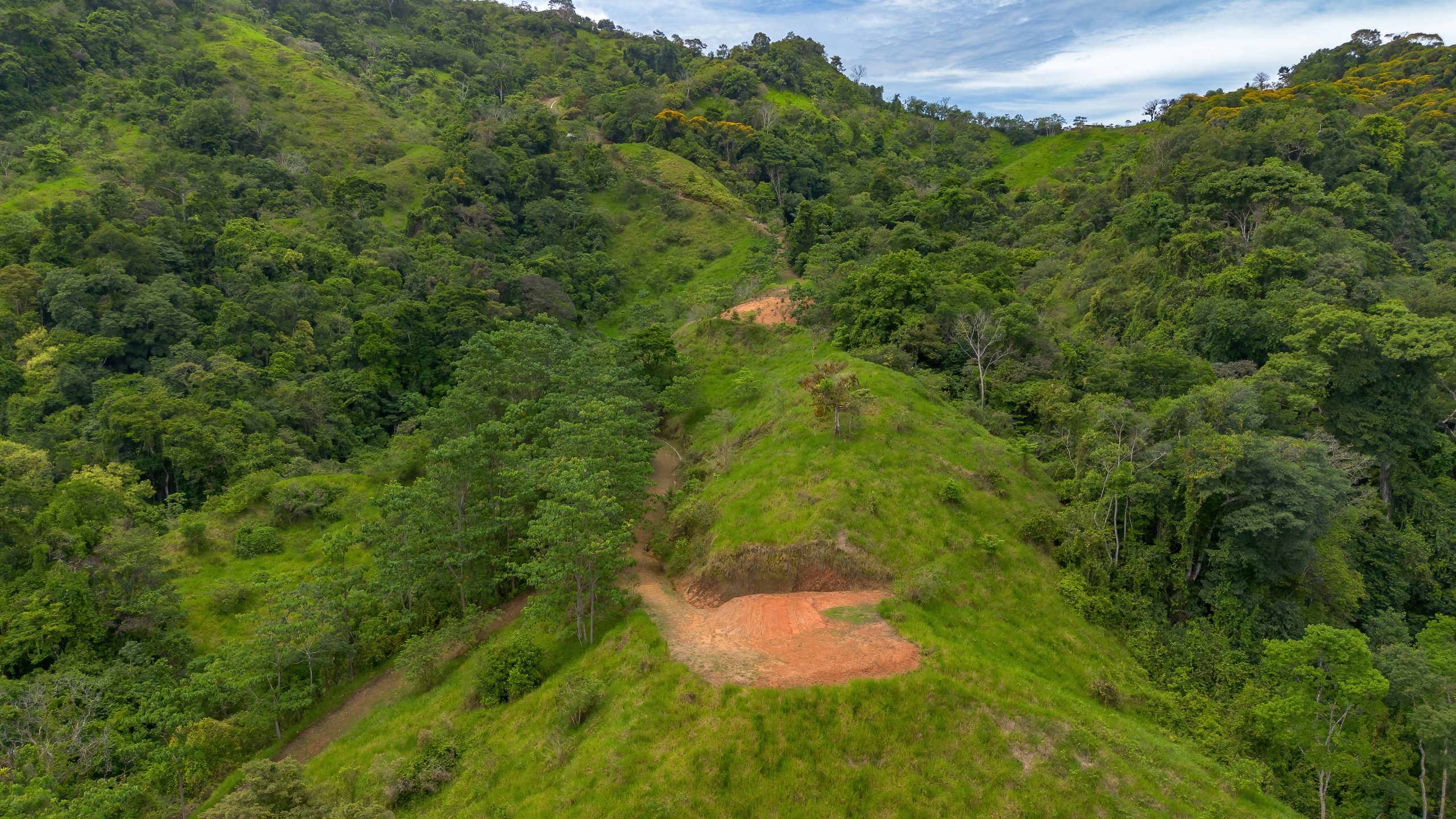 BZ-S&AU _ PLATANILLO -34 (1)
